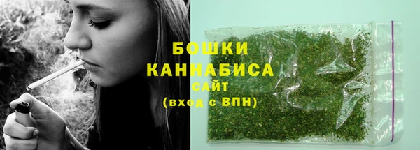 прущие крисы Белокуриха