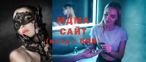 шишки Ельня