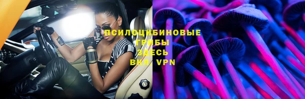 прущие крисы Белокуриха