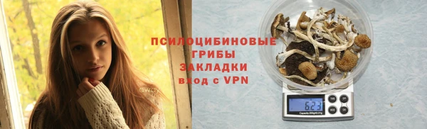 крисы Богородск