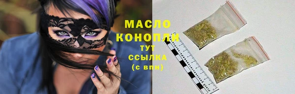 крисы Богородск
