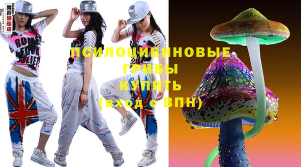 прущие крисы Белокуриха
