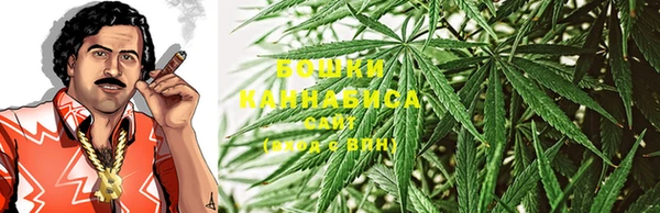 крисы Богородск