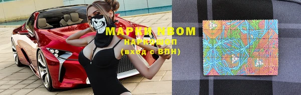 прущие крисы Белокуриха